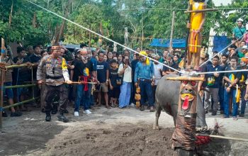 KELUARGA BESAR  HITLER, S. Pd, SD DI DESA TUWUNG MENYELENGARAKAN KEGIATAN ADAT  UPACARA RITUAL TIWAH TABUH PERTAMA, KEDUA DAN KETIGA