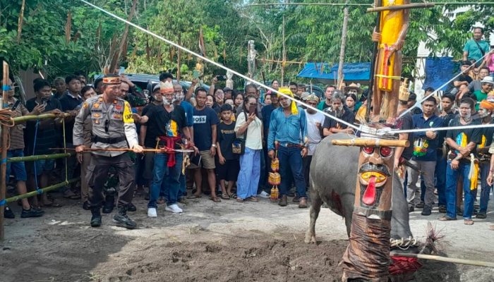 KELUARGA BESAR  HITLER, S. Pd, SD DI DESA TUWUNG MENYELENGARAKAN KEGIATAN ADAT  UPACARA RITUAL TIWAH TABUH PERTAMA, KEDUA DAN KETIGA
